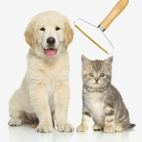 Portable Lint Remover